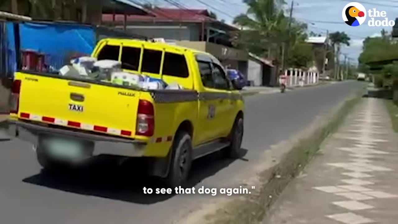 A yellow pickup truck taxi drives away down a paved road lined with buildings and palm trees.