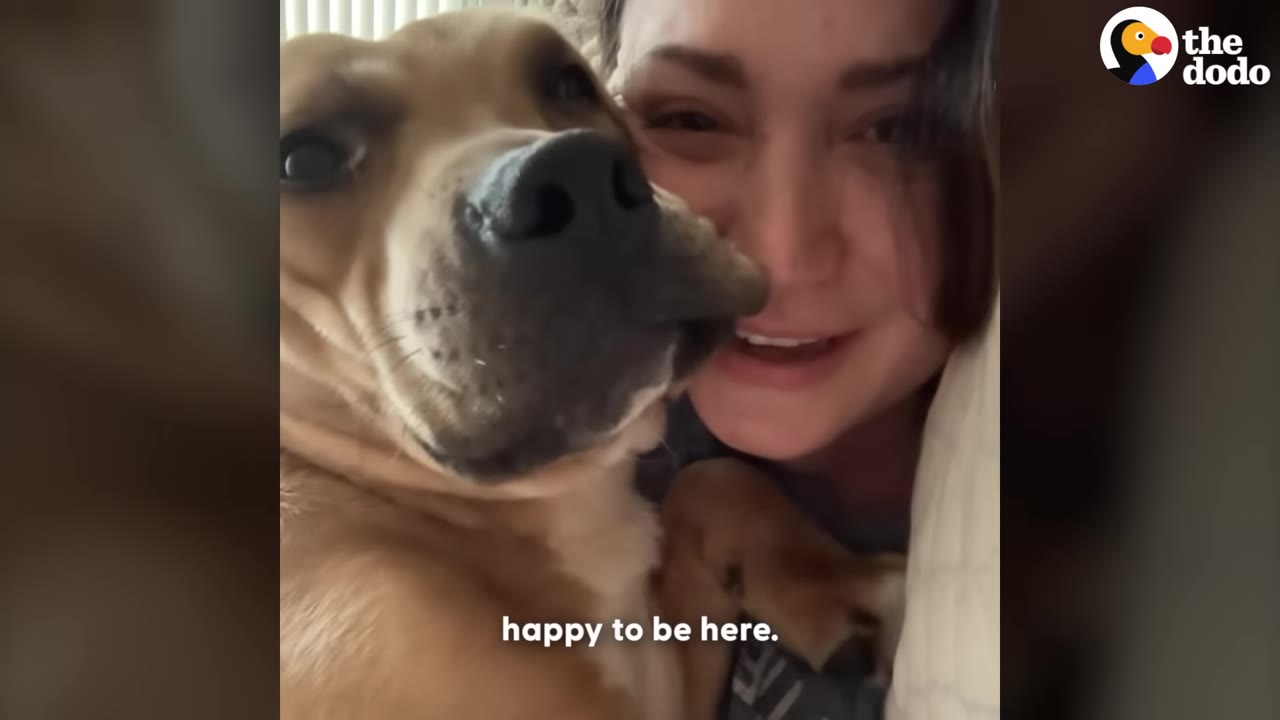 A smiling woman cuddles with a tan dog who is looking directly at the camera.