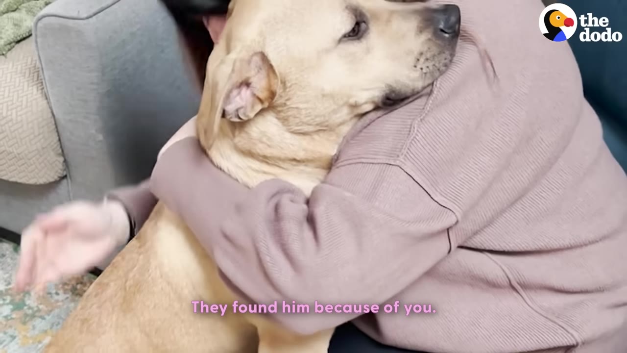 A tan dog being hugged tightly by a person wearing a mauve sweater.