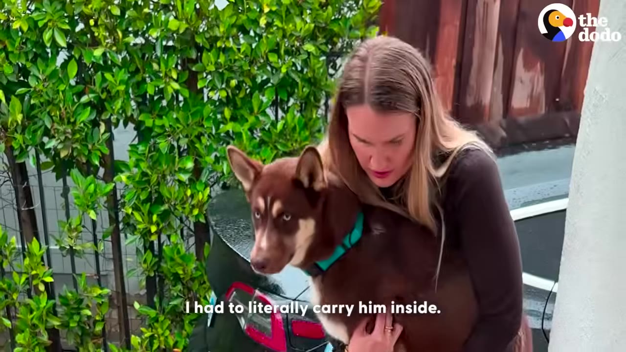 A woman with long blonde hair carries a brown and white dog with a teal collar in her arms outside a house.