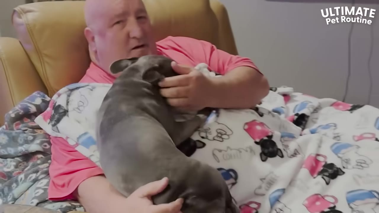 A man in a pink shirt sits in a tan recliner, cuddling a grey French bulldog wrapped in a patterned blanket.
