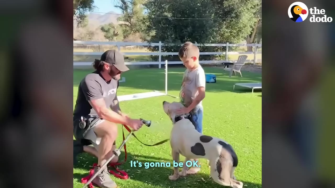 A man in a black cap and t-shirt kneels on a green lawn, holding a leash and a hose nozzle, while a young boy stands next to him petting a white dog with black spots.