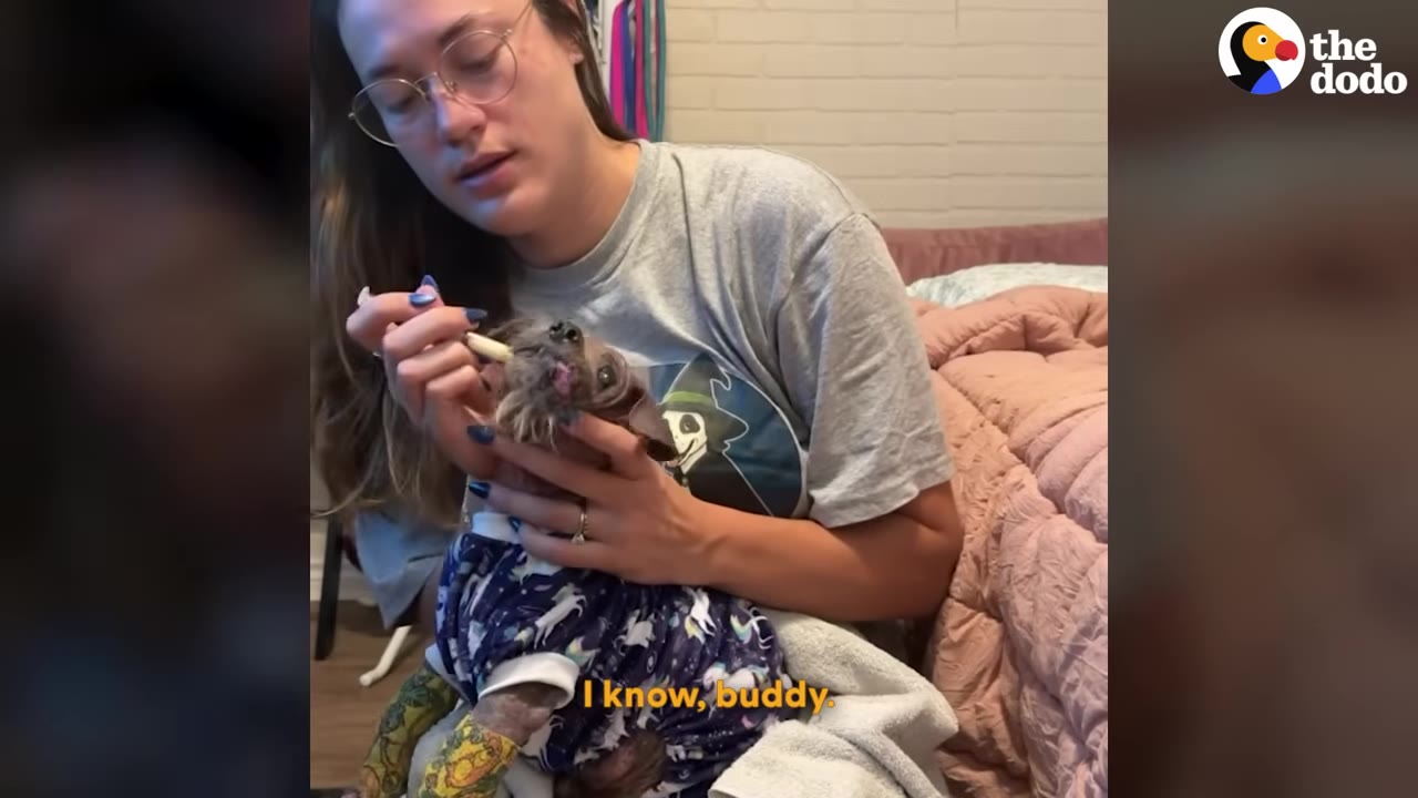 A woman wearing glasses holds a small, frail dog in her lap and gently feeds it with a syringe.