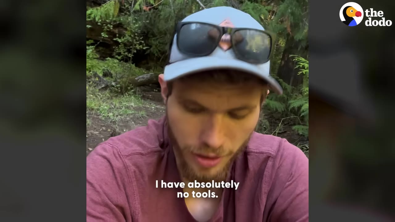 A close-up of a hiker wearing a grey cap with sunglasses on it and a maroon shirt, looking down thoughtfully in a wooded area.