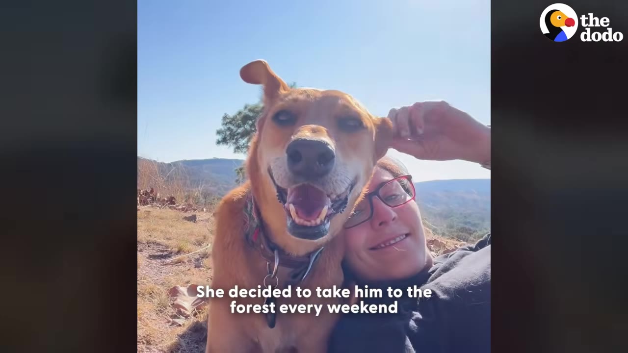 A woman with glasses smiles next to her happy tan dog outdoors on a sunny day.