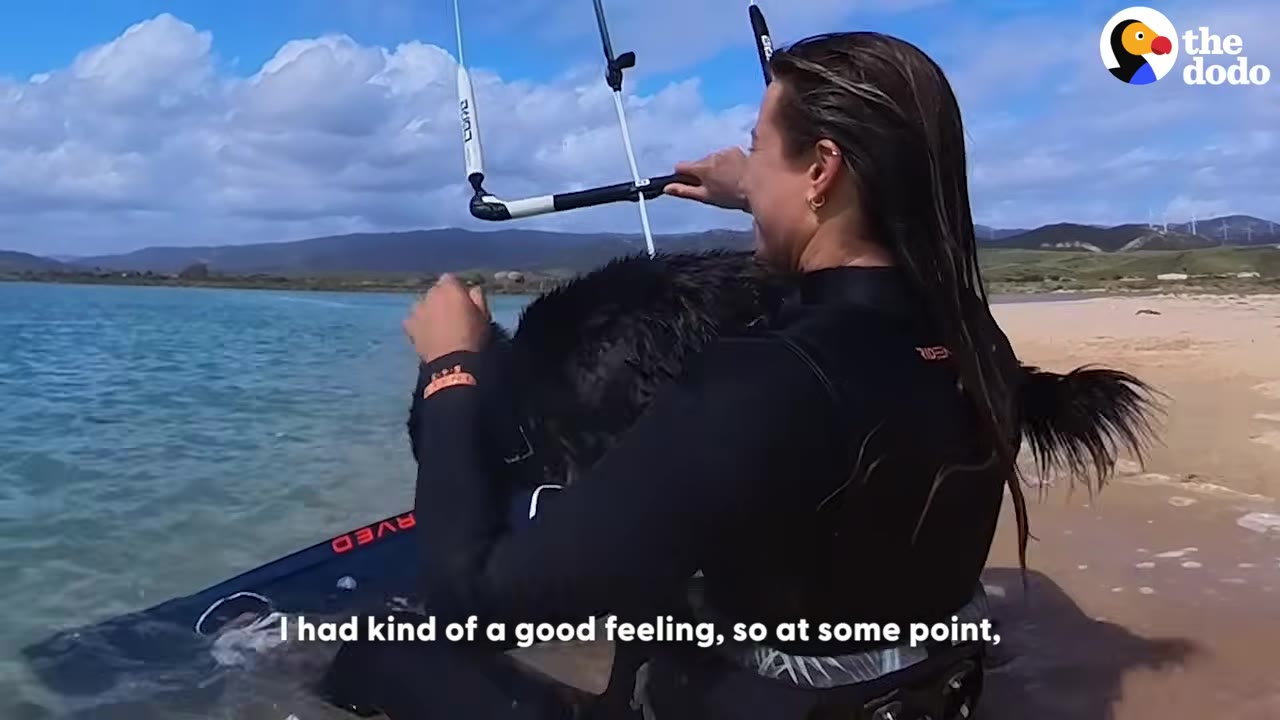 A person in a black wetsuit pulls a wet black dog onto a kiteboard near a sandy beach.