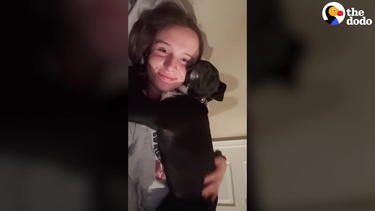 A smiling young woman lies down while hugging a small black and white puppy close to her face.
