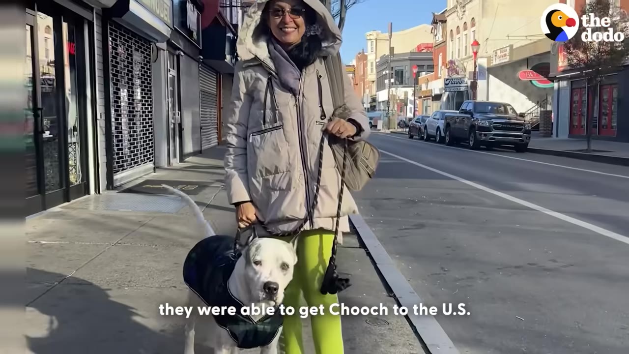 A smiling woman in a winter coat and bright green pants stands on a city sidewalk holding the leash of a white dog wearing a dark coat.
