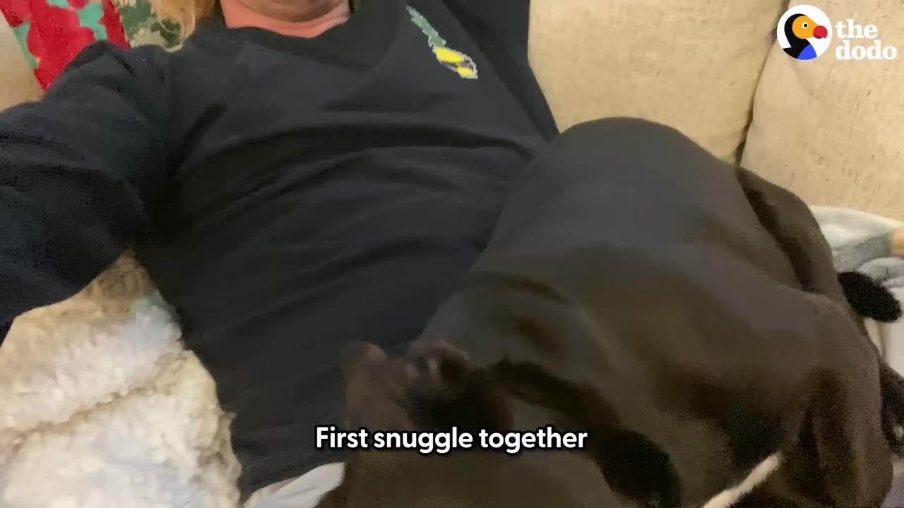 A black dog snuggles on the chest of a person lying on a couch, with the text 'First snuggle together' on the screen.