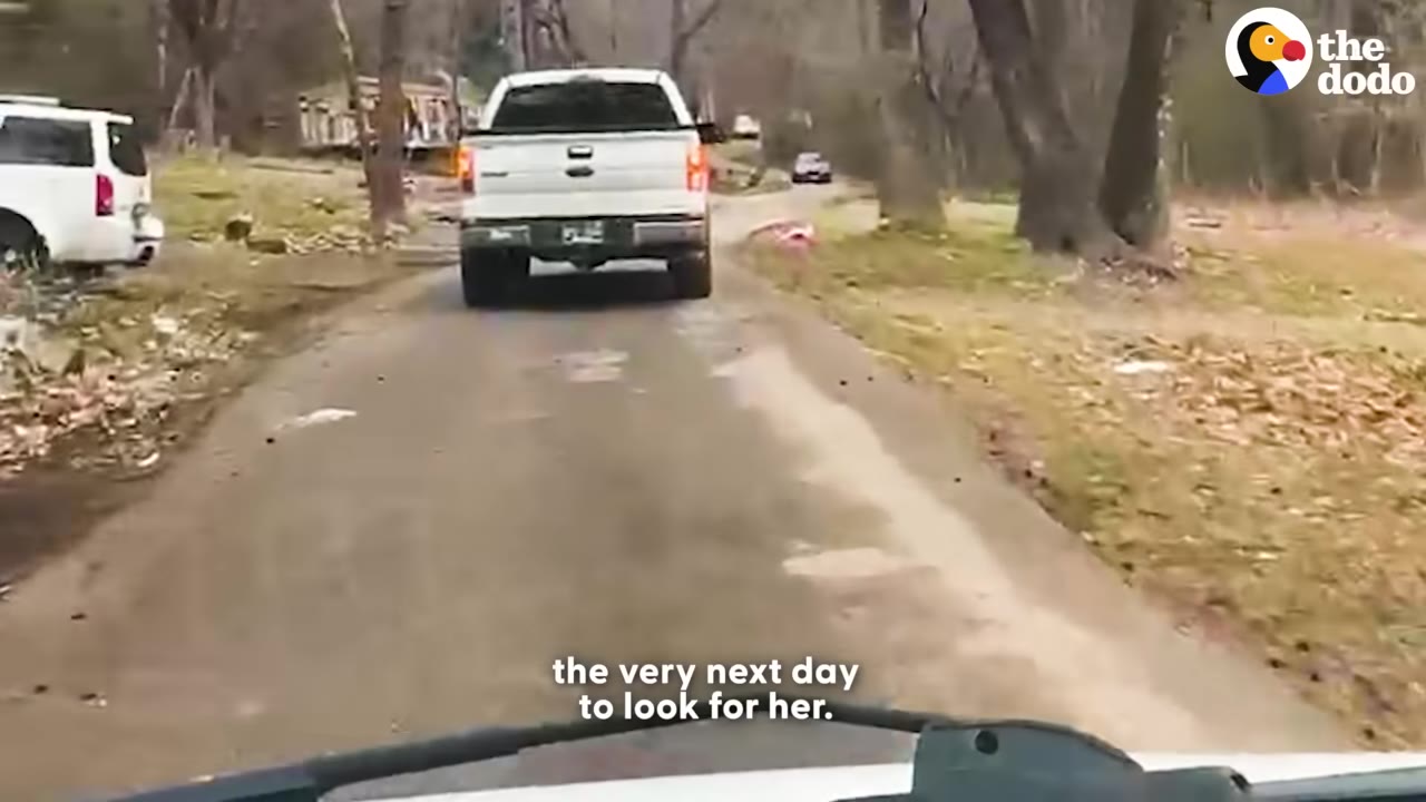 A view from inside a vehicle looking out at a white pickup truck driving ahead on a narrow paved road in a wooded area.