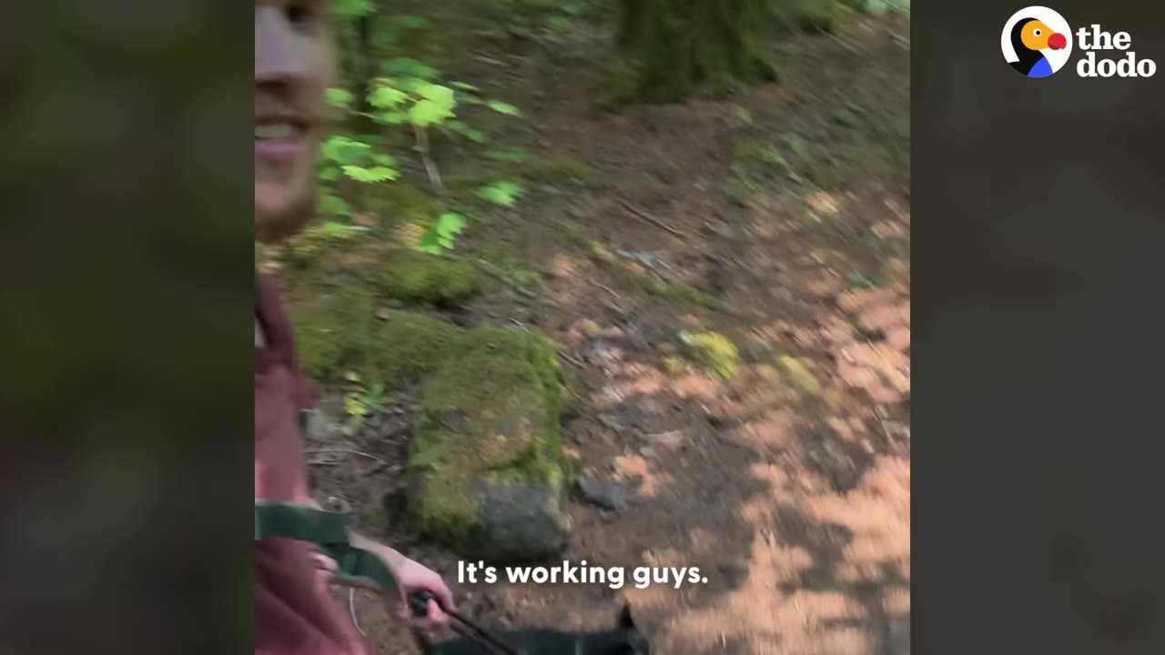 A hiker holding an improvised leash attached to a dog while walking on a forest trail.