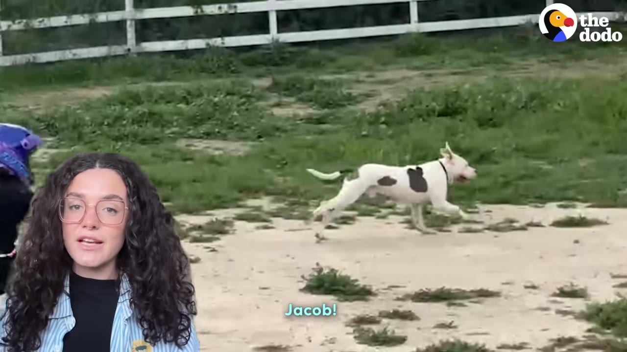 A white dog with black spots runs freely across a grassy field at a ranch, with a woman speaking in a picture-in-picture overlay in the foreground.