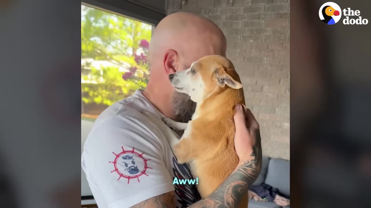 A man with tattoos on his arm holds a small brown and white dog close to his chest in front of a bright window.