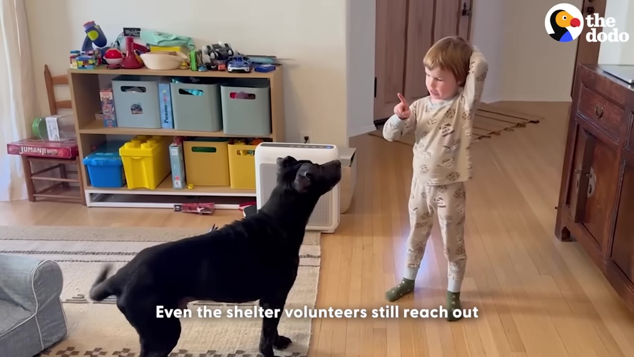 A black dog stands on a rug in a living room, looking up at a young boy wearing pajamas who is gesturing with his hand.