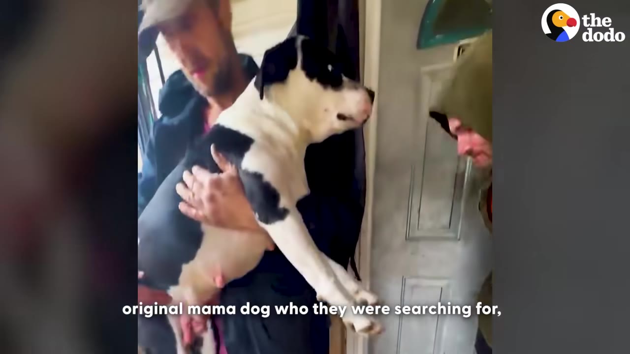 A man in a baseball cap holds a black and white dog in his arms near a doorway while another person looks on.