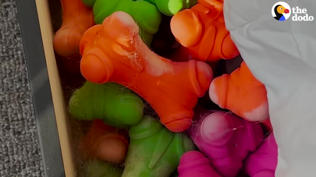 A close-up shot of a pile of colorful bone-shaped dog toys in shades of orange, green, and pink.
