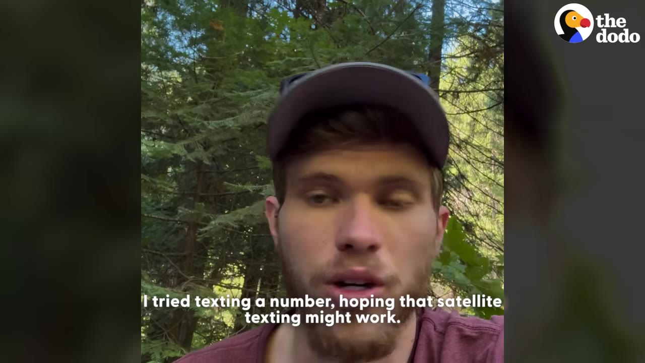 A close-up shot of a man wearing a grey cap and a maroon shirt, speaking to the camera with a forest background.