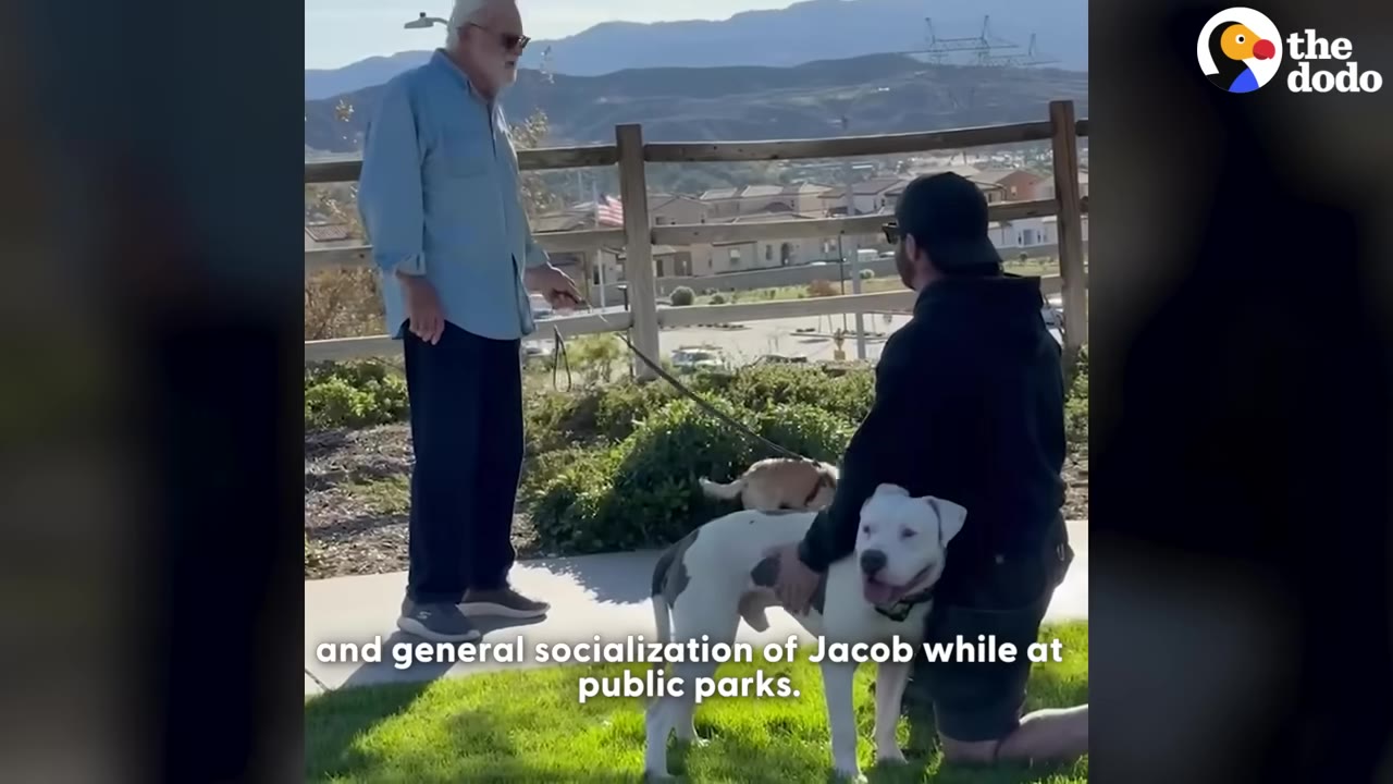 A man in a black hoodie and cap kneels on a grassy area next to a white and grey dog, while another man stands nearby holding a leash.