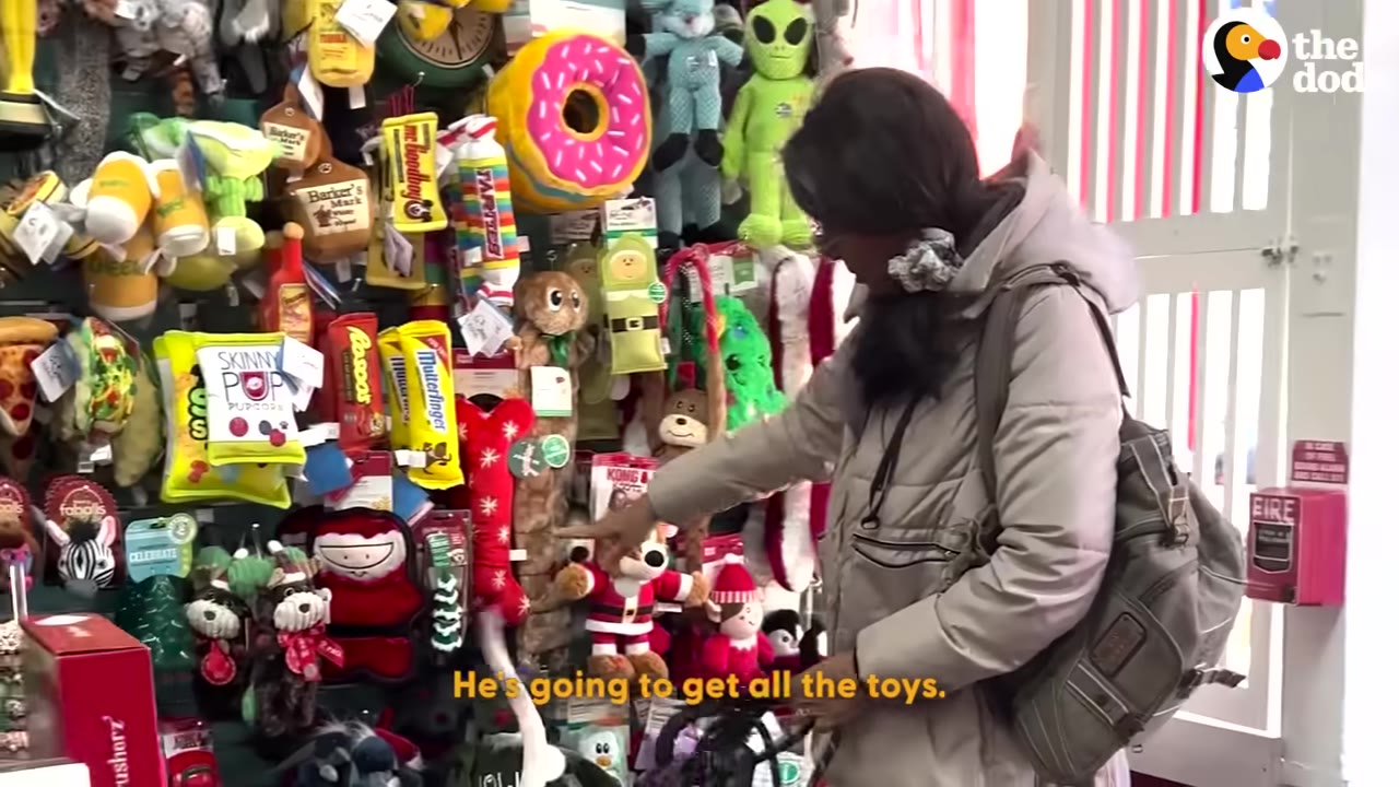 A woman in a winter coat points to a colorful wall of dog toys in a pet store.