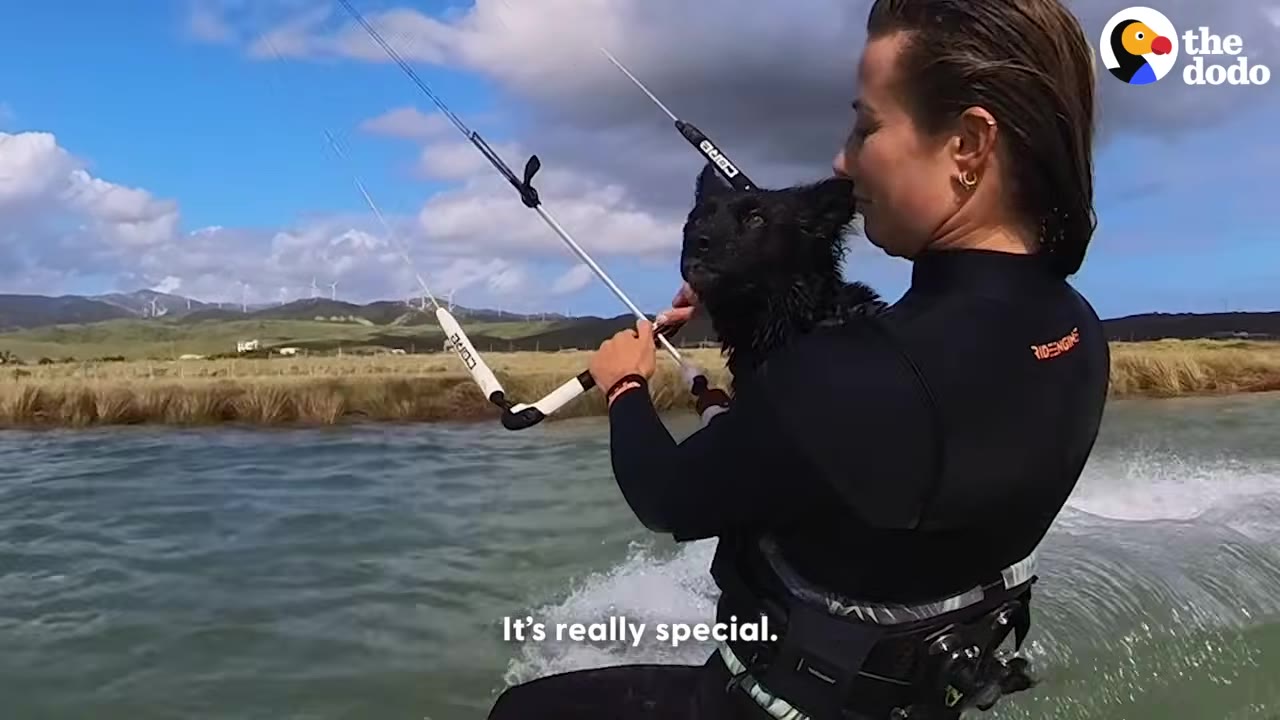 A woman kitesurfing on the water while holding a small black dog close to her chest, with the dog looking forward calmly.