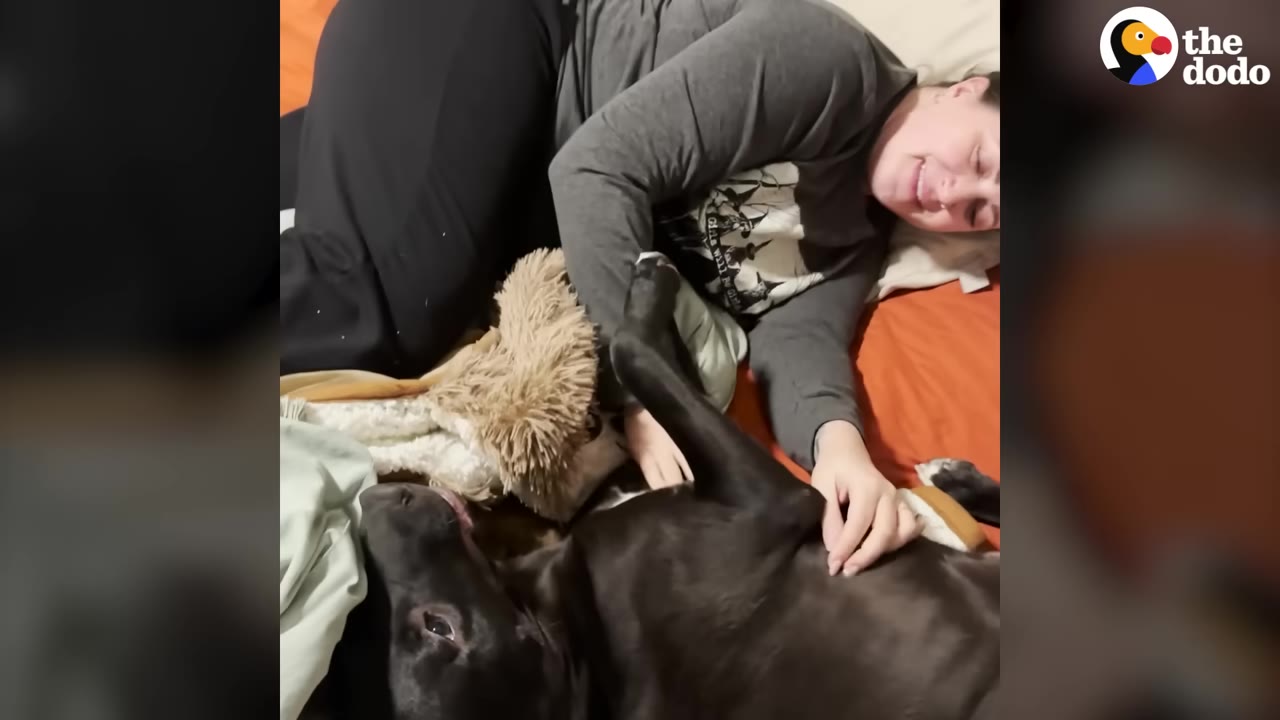 A black dog lies on its back on a bed next to a smiling woman who is petting its belly.