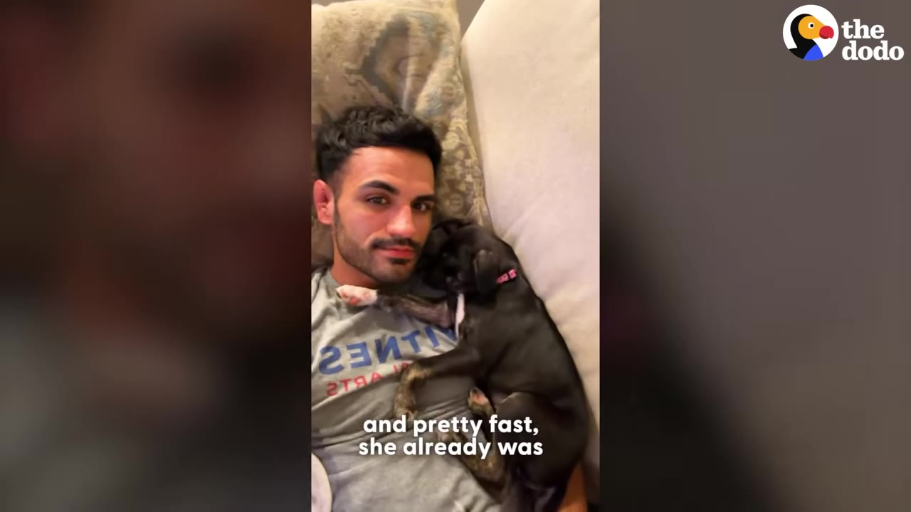 A man lies on a couch with a small black puppy sleeping peacefully on his chest.