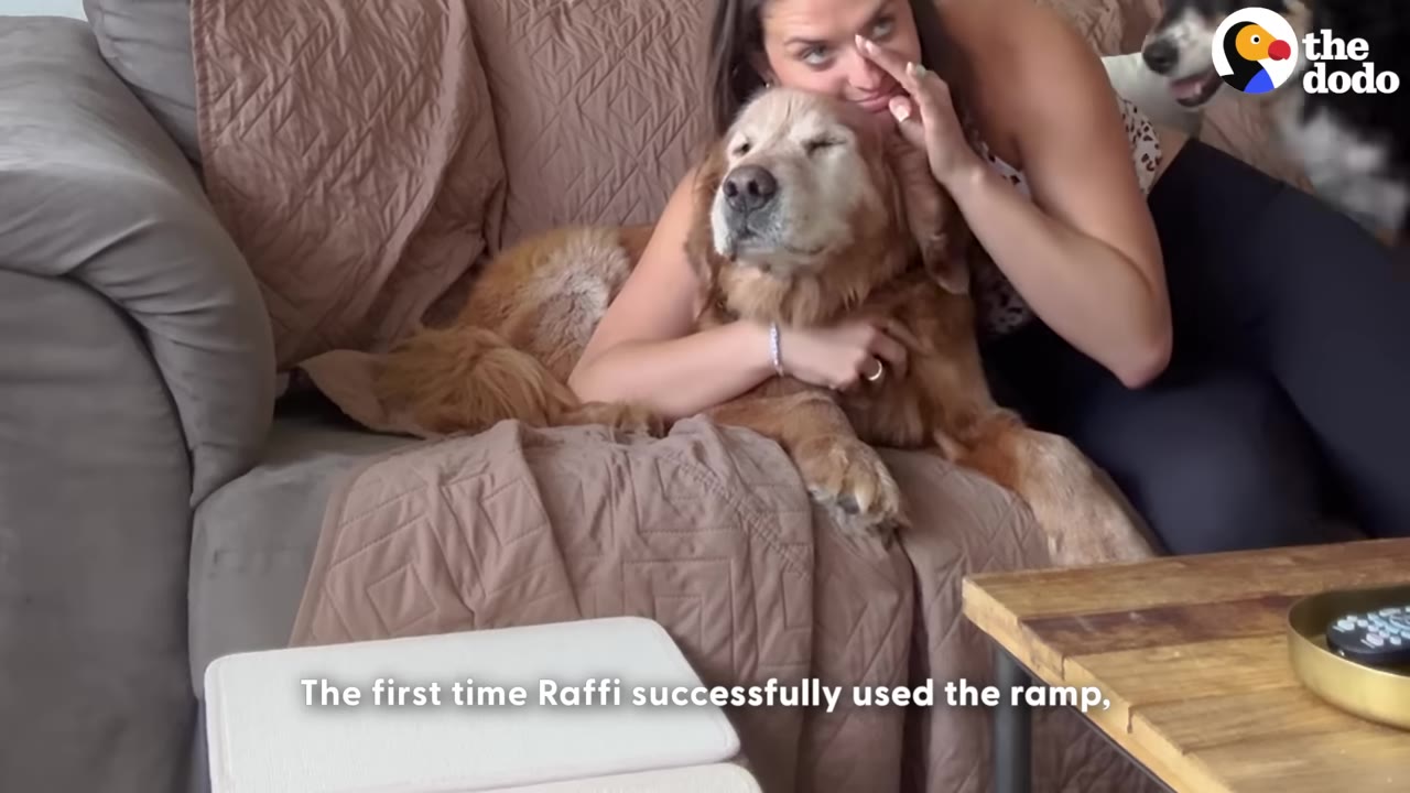 A woman wipes a tear from her eye as she hugs a senior golden retriever on a couch.