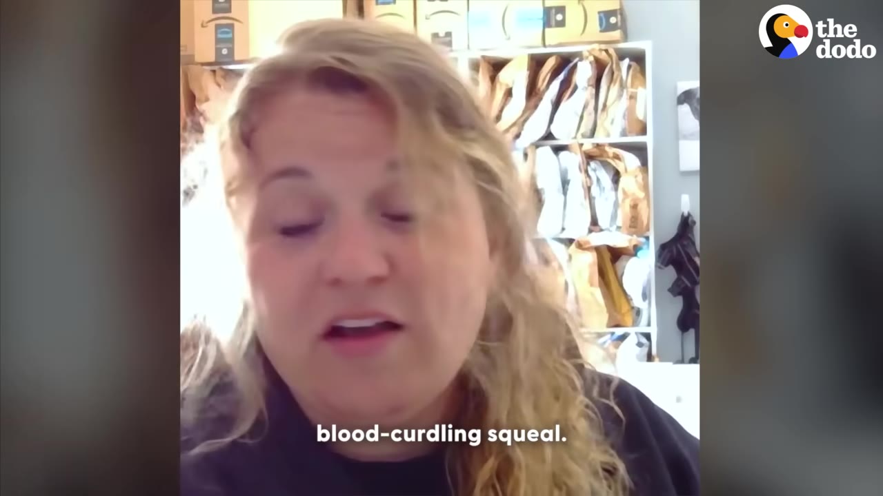 A close-up of a woman with blonde hair speaking, with the subtitle 'blood-curdling squeal.' on the screen.