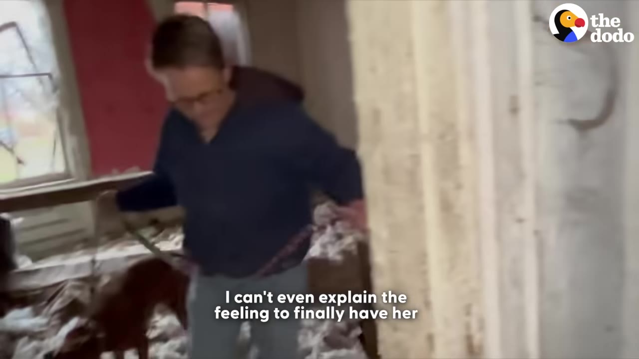 A person in a blue jacket holds a leash attached to a brown dog in a messy, abandoned room filled with debris.