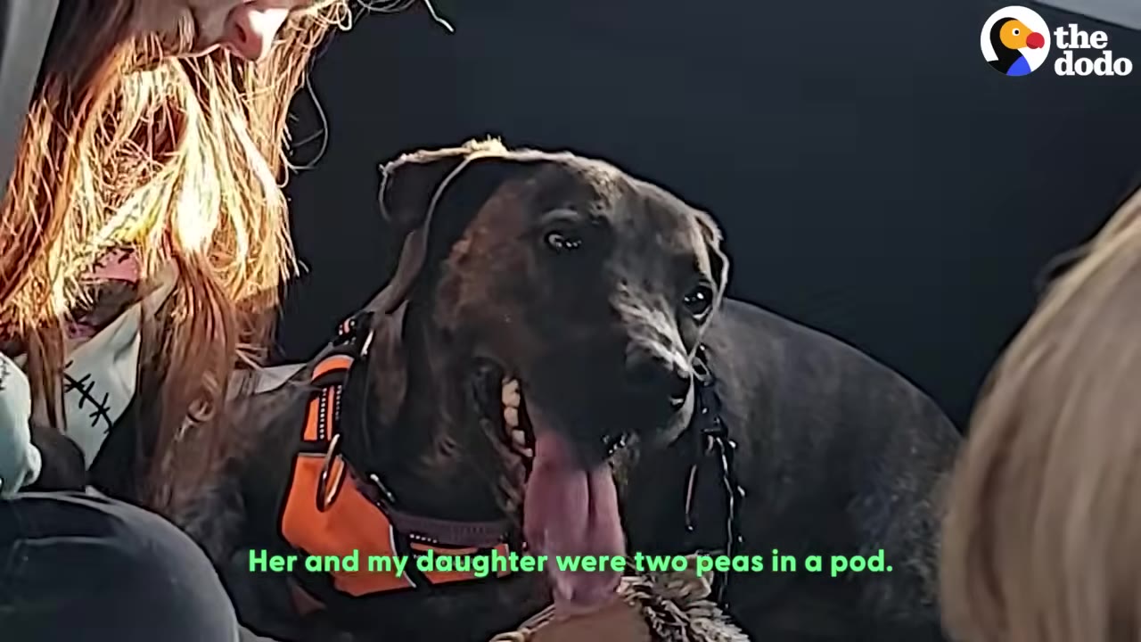 A dark brindle dog with its tongue out sits between two people, with a subtitle that reads, 'Her and my daughter were two peas in a pod.'