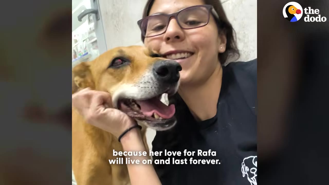 A smiling woman with glasses cuddles a happy brown dog with its mouth open.