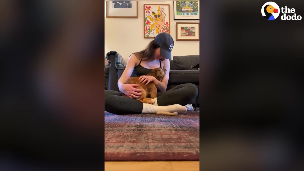 A woman wearing a baseball cap sits cross-legged on a rug, holding and comforting a small brown dog in her lap.