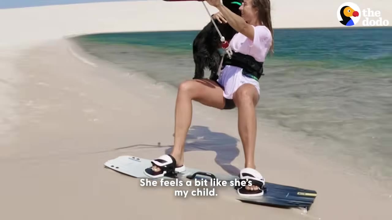 A woman standing on a kitesurf board on a sandy beach near the water, with a black dog clinging to her chest as she holds the kitesurfing bar.
