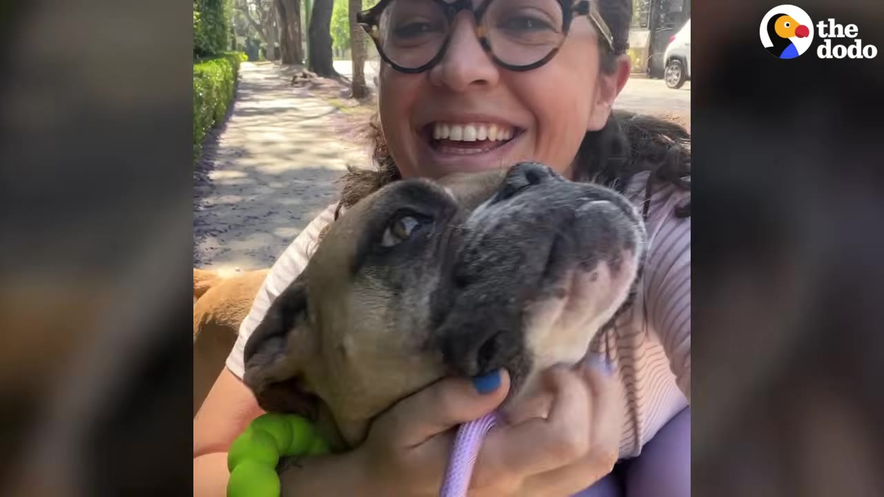 A smiling woman wearing glasses hugs a brown and black dog close to her face outdoors.