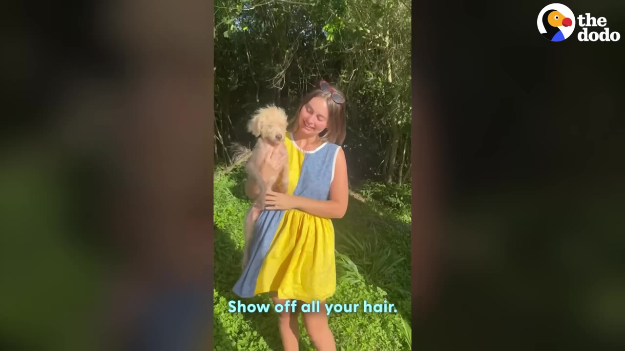 A smiling woman in a yellow and blue dress stands outdoors in front of lush green trees, holding a small, light-colored scruffy dog in her arms.