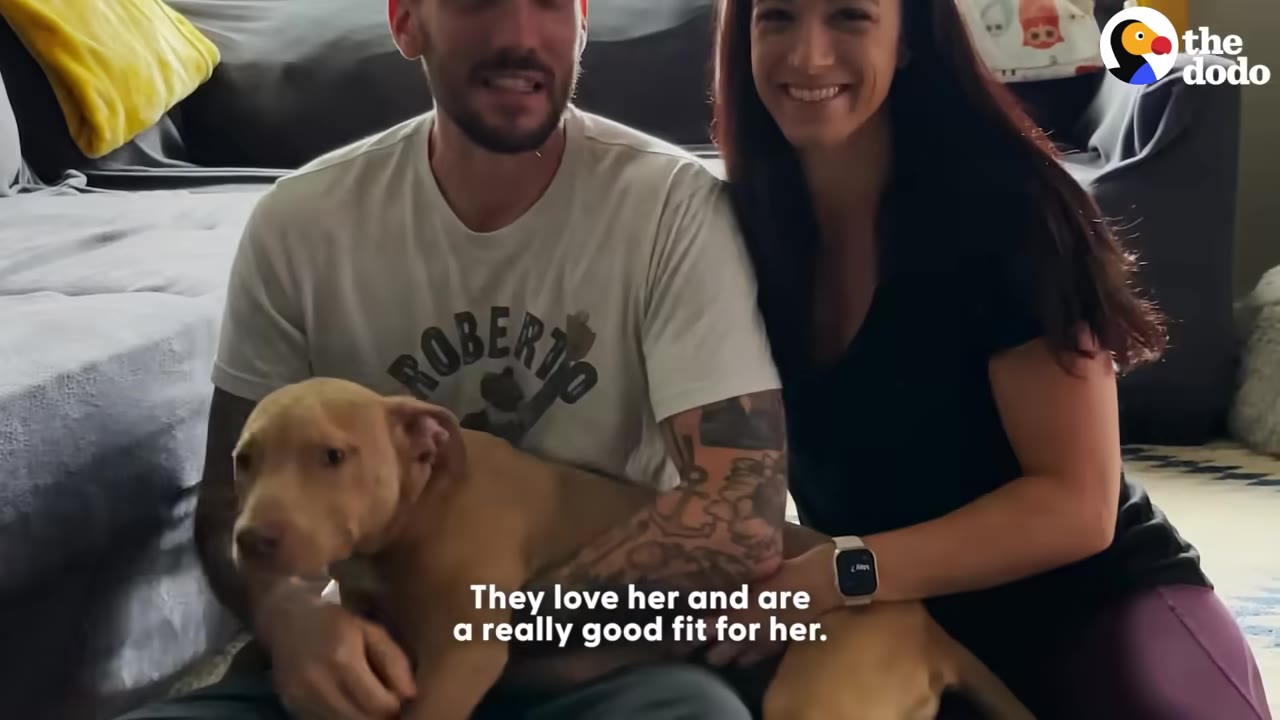 A smiling man and woman sit on the floor of a living room, holding a light brown dog in their laps.