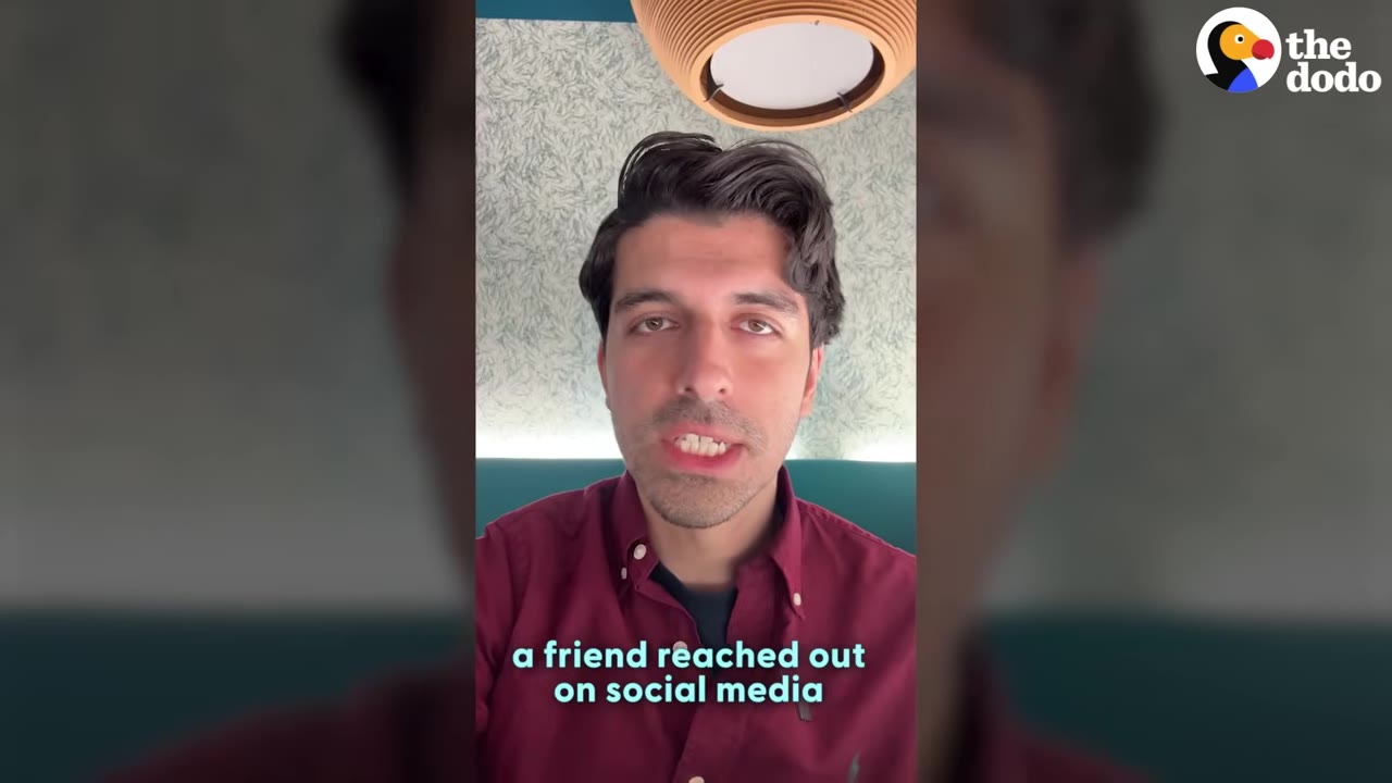 A man with dark hair and a maroon button-down shirt looks directly at the camera, with a caption that reads 'a friend reached out on social media'.