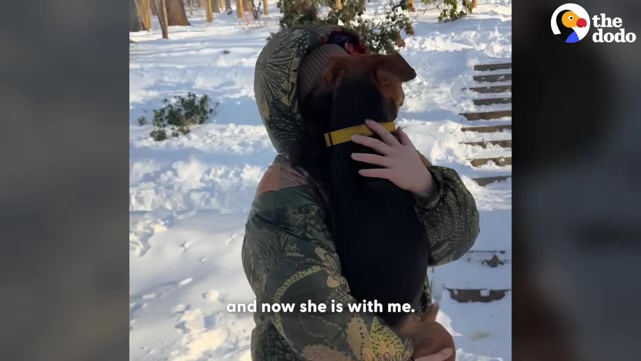 A person in a patterned winter jacket and hood hugs a brown and black dog close to their chest in a snowy outdoor setting.