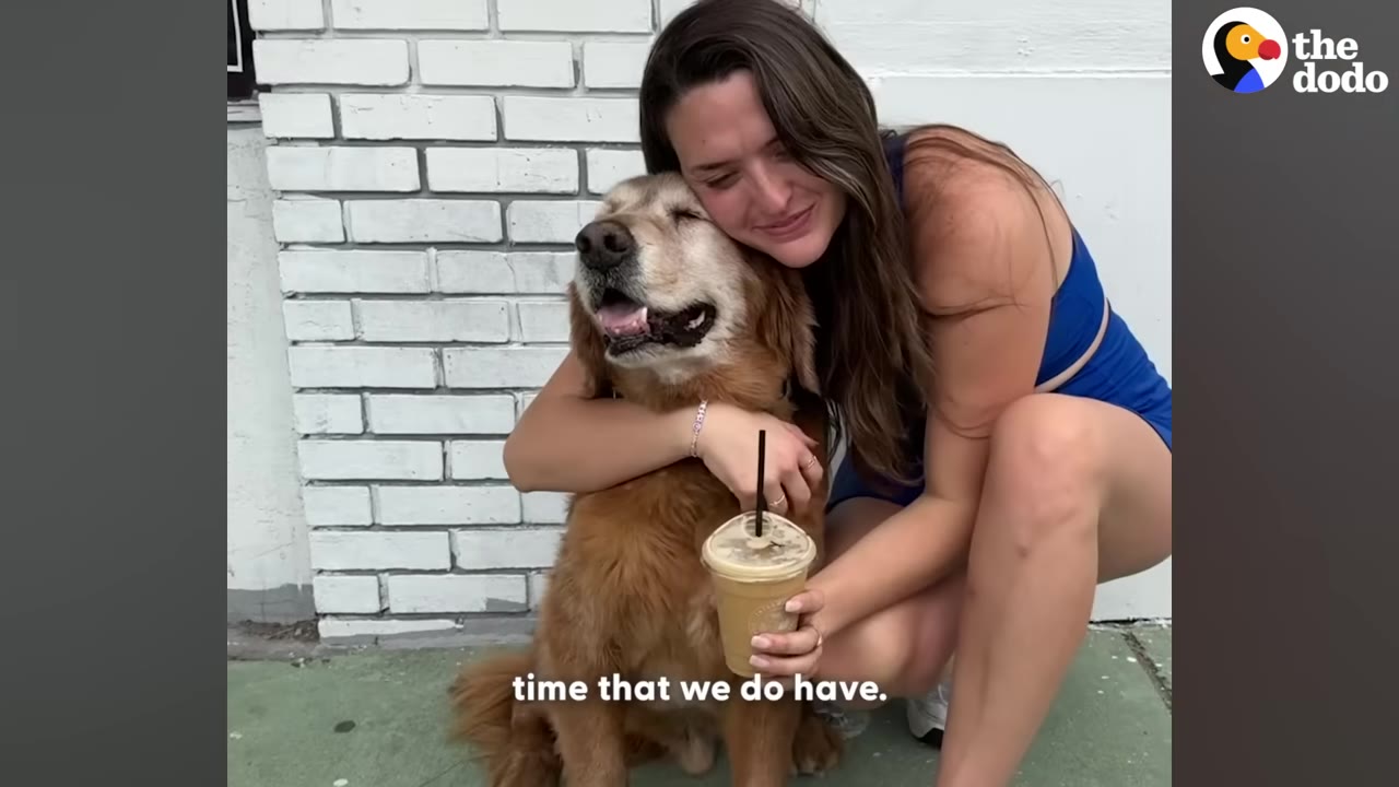 A woman in a blue outfit hugs a senior golden retriever dog tightly while holding a plastic cup with a straw, both smiling happily against a white brick wall.