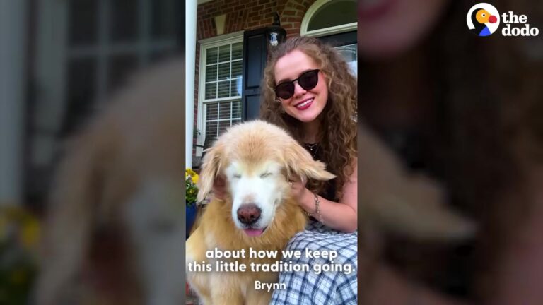 Pennsylvania Dog Lost Both His Eyes, But One Special Morning Routine Proved His Spirit Remained Unbroken