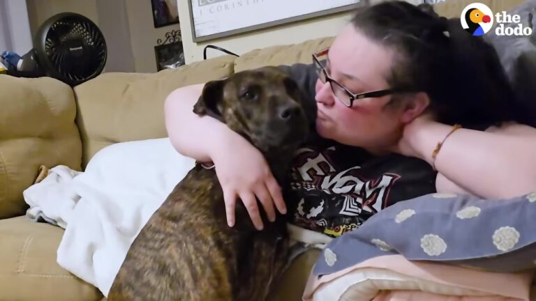 Georgia Dog Who Had Never Lived Indoors Finally Finds The Courage To Join In