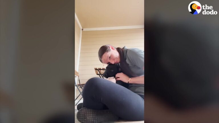 Texas Woman Was Running Late For Work, But The Stray On Her Porch Changed Her Entire Life