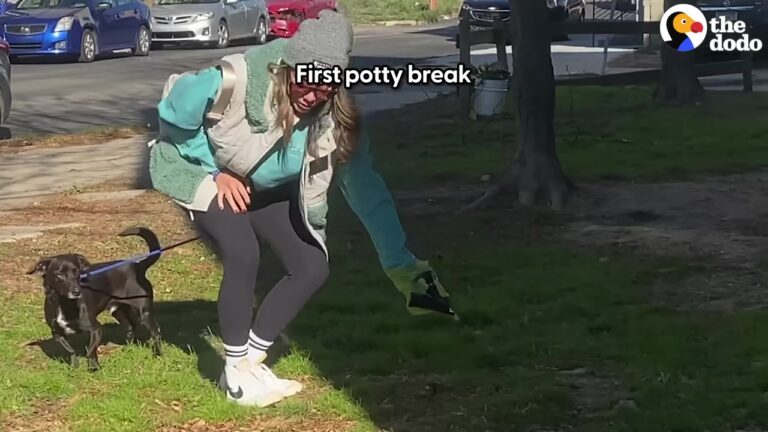 California Man Broke His Collarbone The Day Before Fostering A Dog, But Their Healing Journey Ends In A Beautiful Surprise