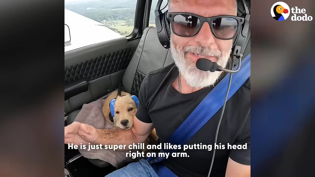 A man with a grey beard, sunglasses, and a headset smiles in the cockpit of an airplane next to a golden retriever puppy wearing blue ear protection.