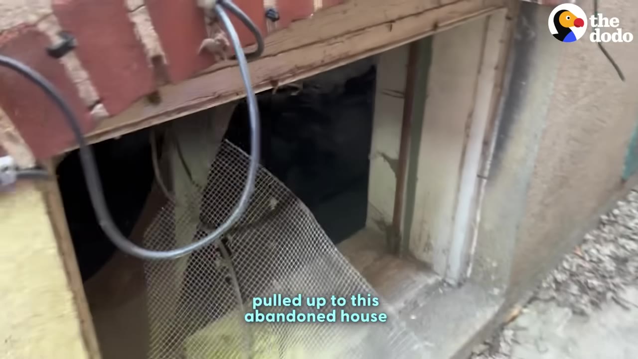 A low-angle exterior shot of a basement window opening of an abandoned house with a wire mesh screen hanging loose.