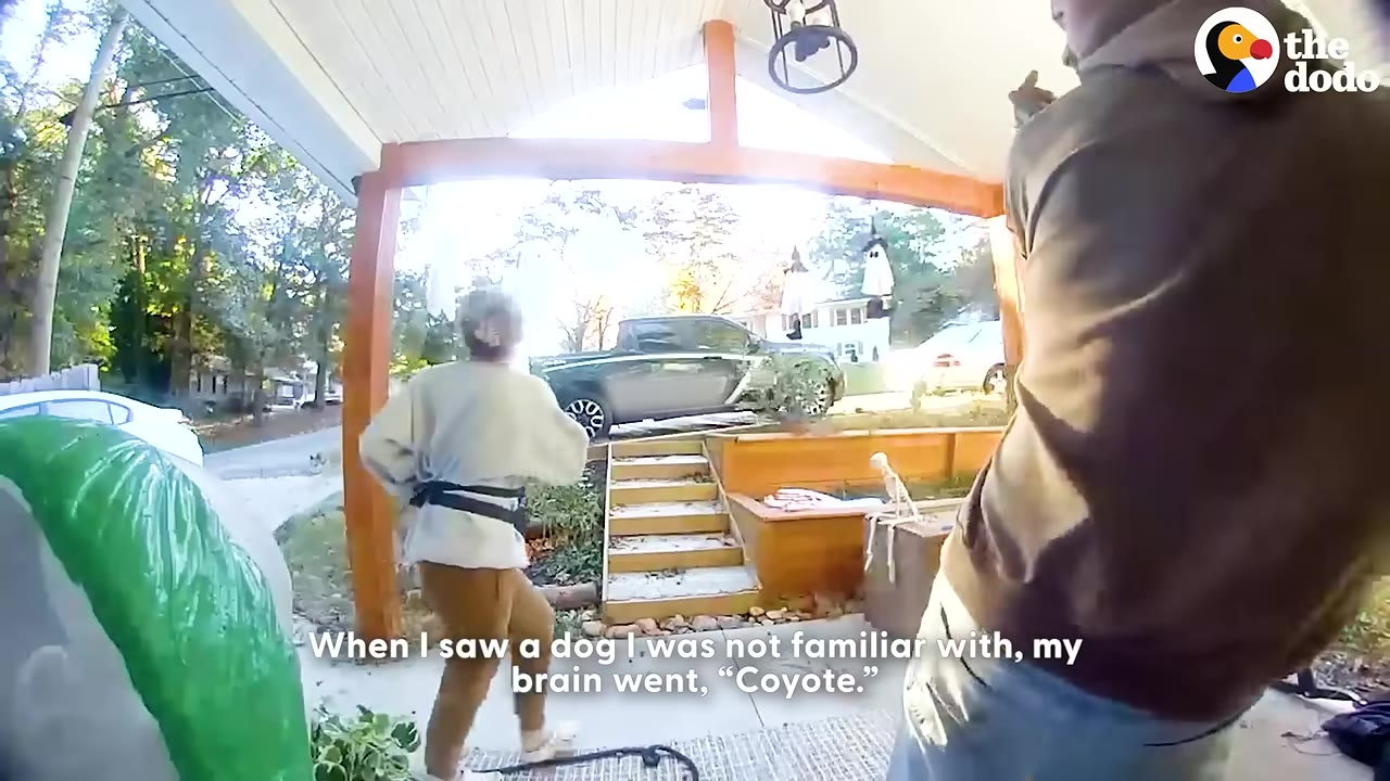 A person on a front porch looks out toward the street where a small animal is visible in the distance, with on-screen text reading, 'When I saw a dog I was not familiar with, my brain went, "Coyote."'