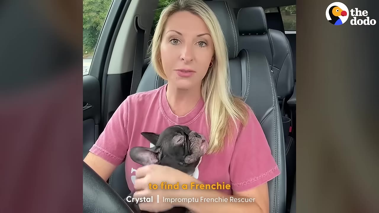 A blonde woman sitting in the driver's seat of a car, holding a small black French Bulldog puppy close to her chest.