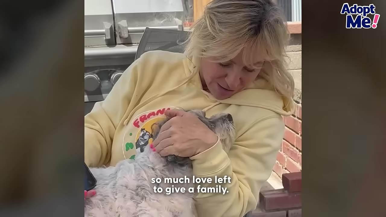 A woman in a yellow hoodie smiles as she cuddles a small, fluffy grey and white dog in her lap.