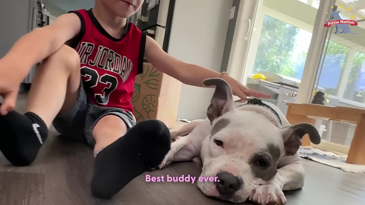 A young boy wearing a red athletic jersey sits on the floor next to a white and grey dog lying down, with the text 'Best buddy ever.' on the screen.