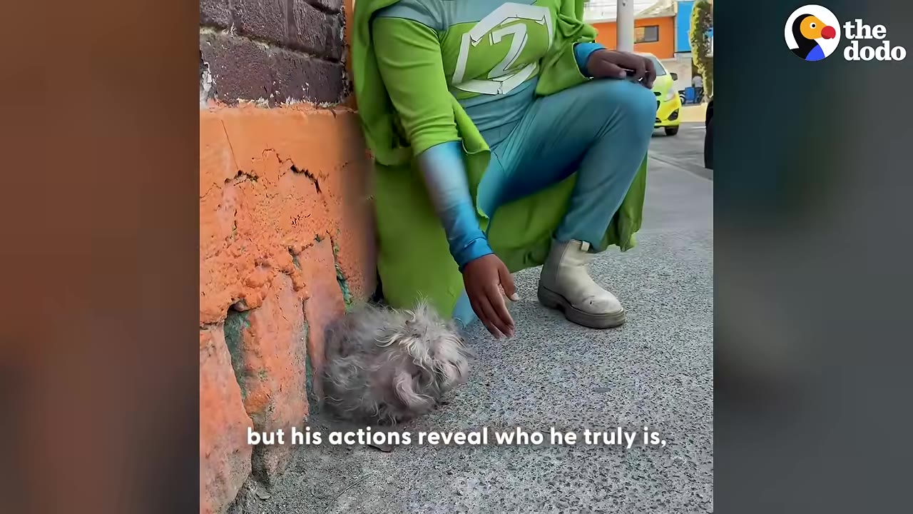 A person in a green and blue superhero costume crouches on a sidewalk next to a brick wall, reaching a hand out toward a small, scruffy grey dog huddled on the ground.
